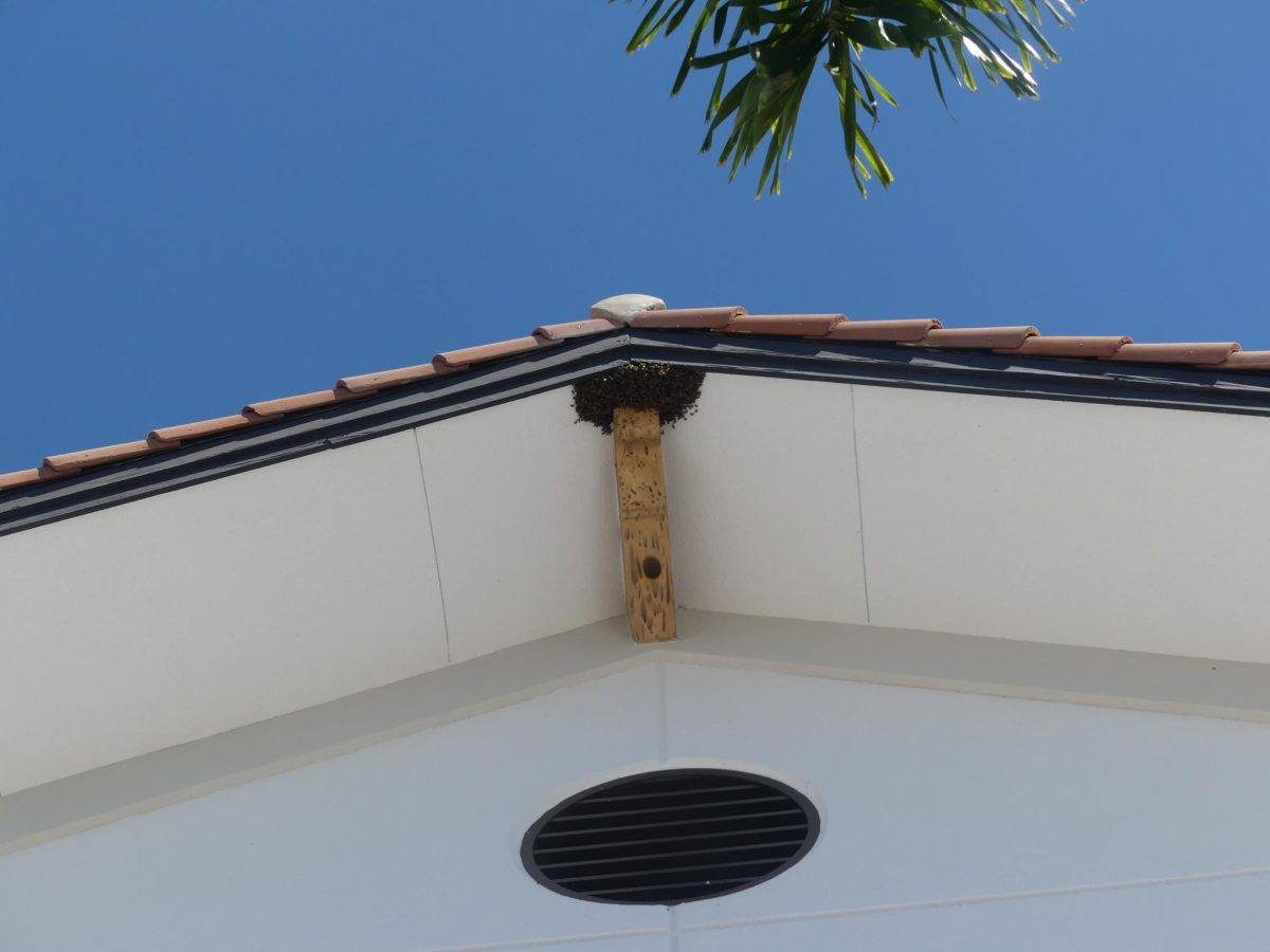 The Breezeway has a Beehive